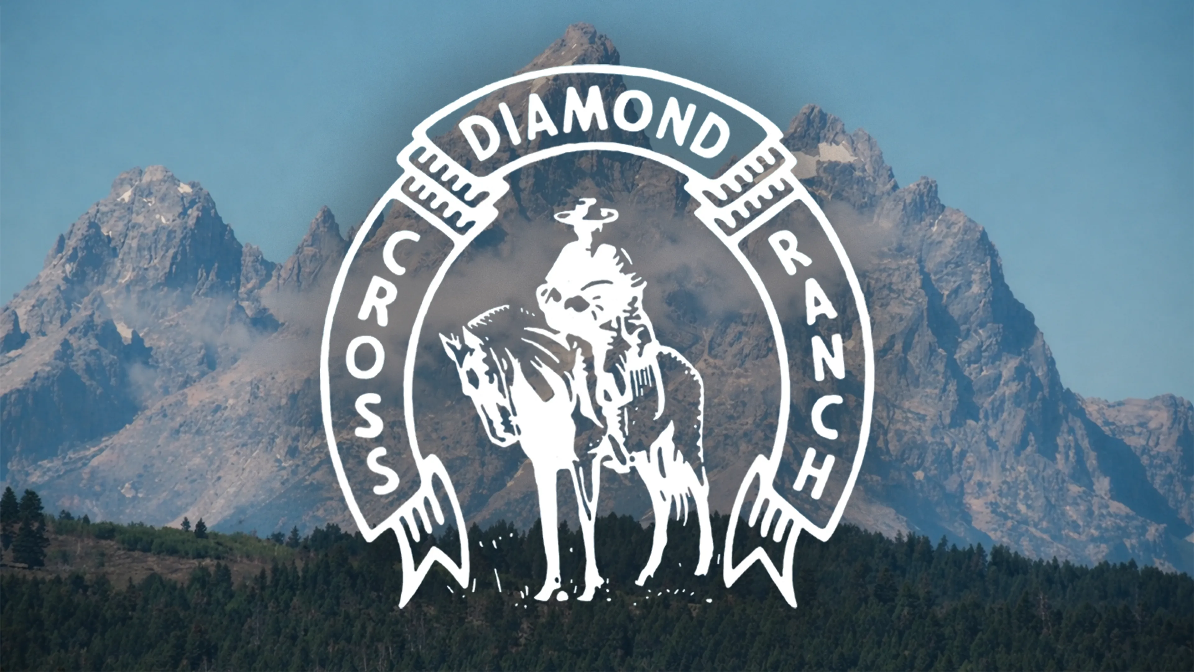 Diamond Cross Ranch poster